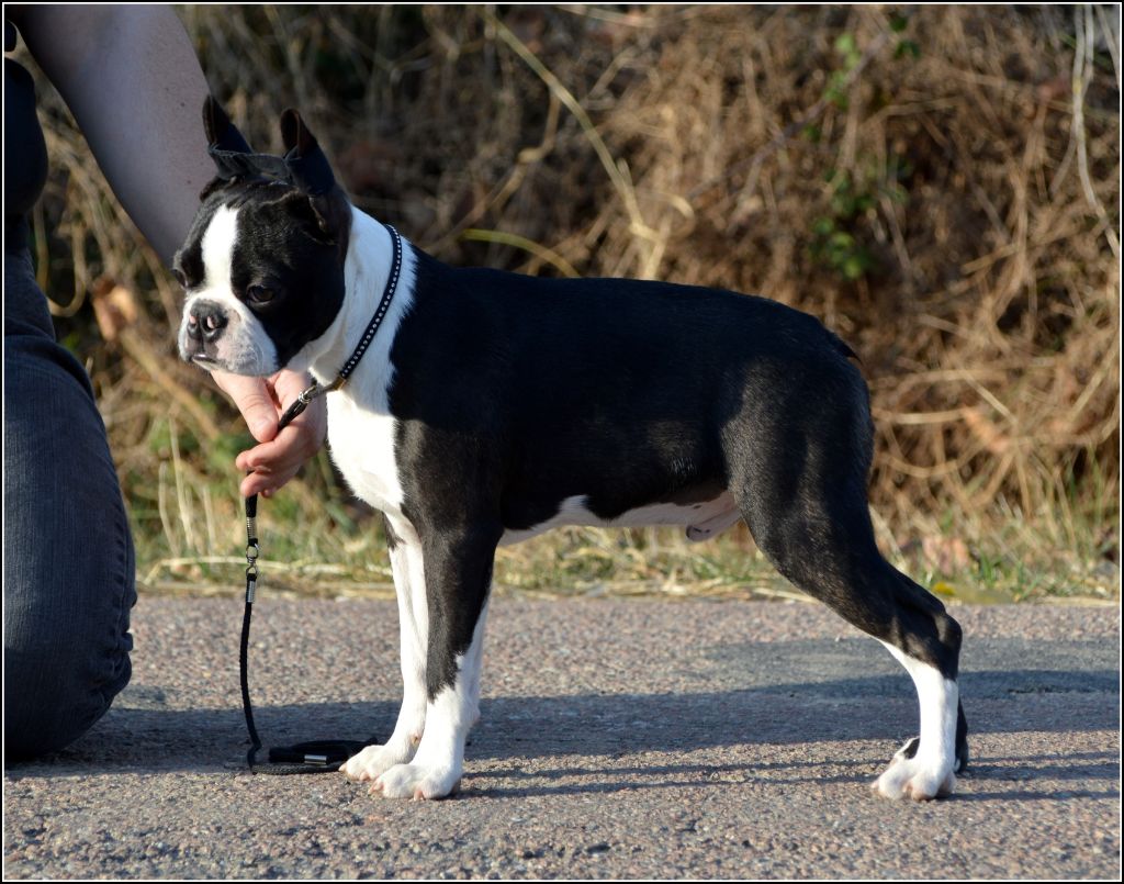 Olop Ô rage Ô désespoir