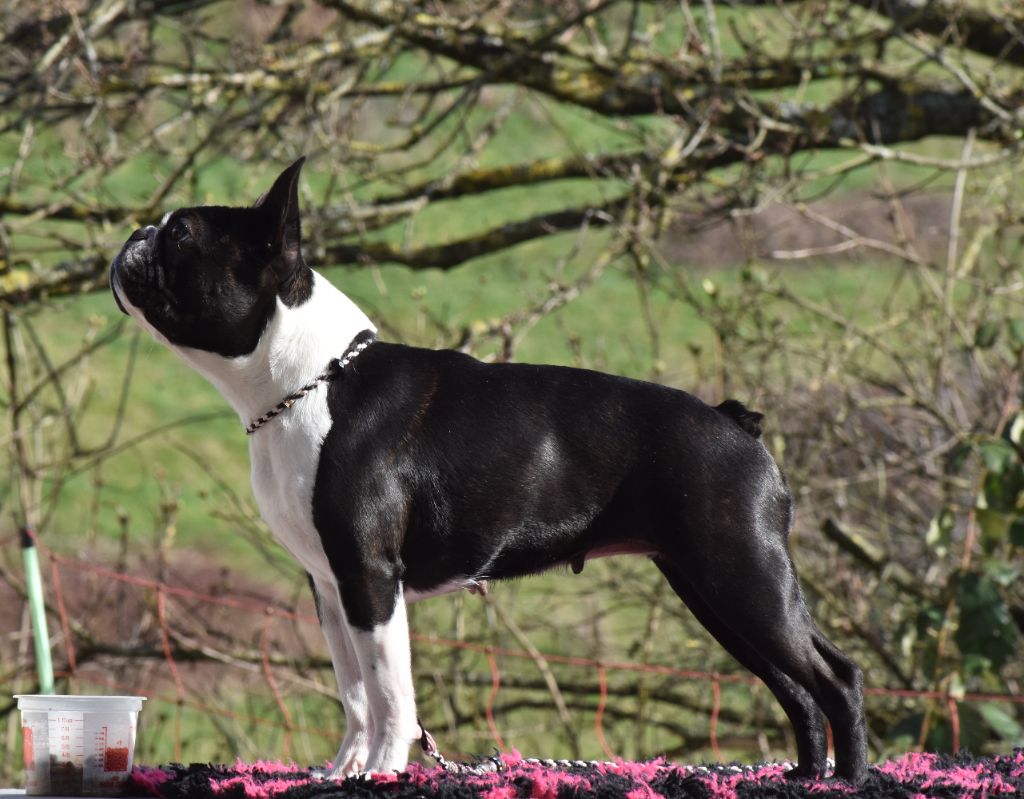 Olop Permission accordée