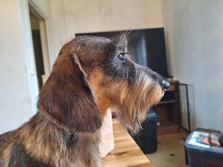 alpheratz Magic Touch